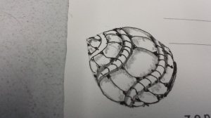 Rough Draft: Zentangle seed from the Tree.